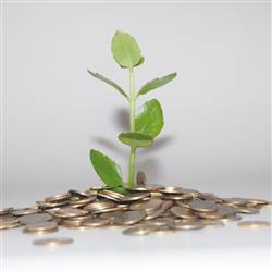 money growth- هفت گام اولیه برای رشد مالی