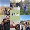 مروری بر سال 1401