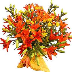 flowers- روز خانم‌ها مبارک !