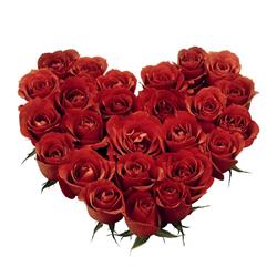 valentine- من به دو تا هدف بزرگم رسیدم!