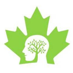 positive psychology- روانشناسی مثبت چیست؟