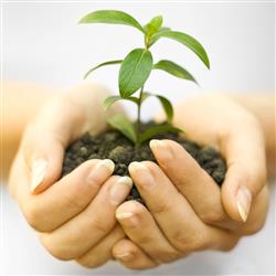 growth- مربی رشد فردی چگونه به شما کمک می‌کند؟