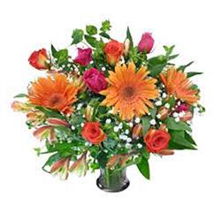 flowers- پنج خبر خوب شما