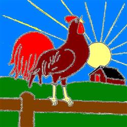 rooster- سحرخیز باش تا کامروا گردی!