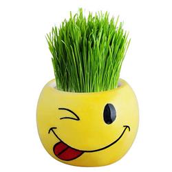 sabzeh- خانم‌های مجرد! چگونه برای سال نو آماده شوید؟