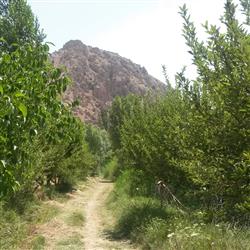 کوچه باغ- سلطان جهانم به چنین روز...