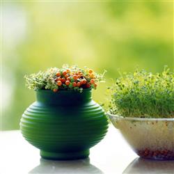 بهار- انشای نوروزی 1397