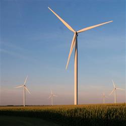 windmill- سفر به سرزمین لاله‌ها و توربین های باد