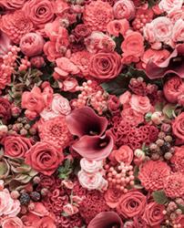 flowers- خبر خوش 215
