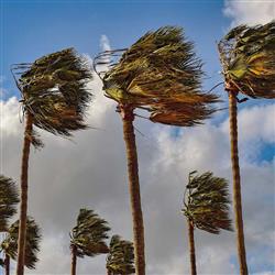 resilience- چگونه تاب بیاورم و طاقتم طاق نشود؟